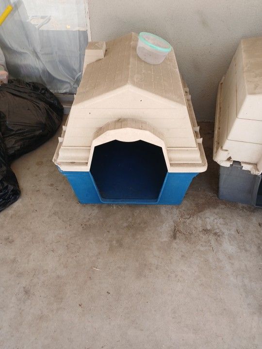 Dog House