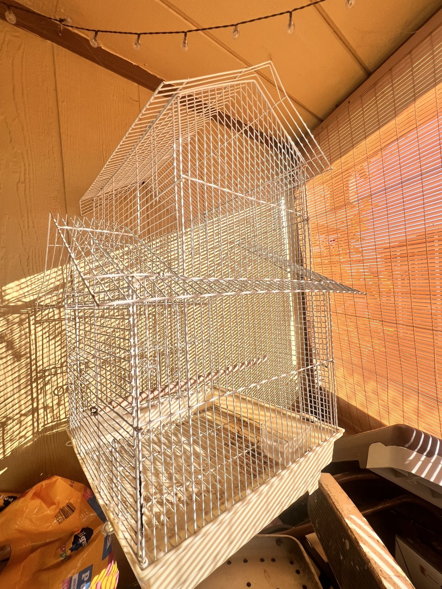 Bird Cage