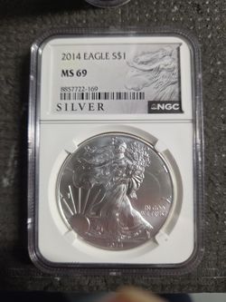 2014 Silver Eagle