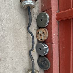 Standard Weight With Curl Bar