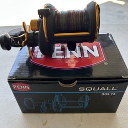 Penn Squall 15 (SQL15) Magnetic Cast