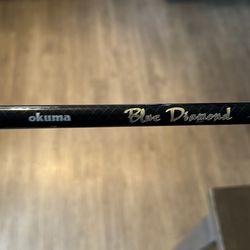 Okuma blue diamond fishing rod, and berkley lightning rod shock