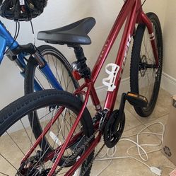 Red Trek Verve 2 Hybrid Bicycle 