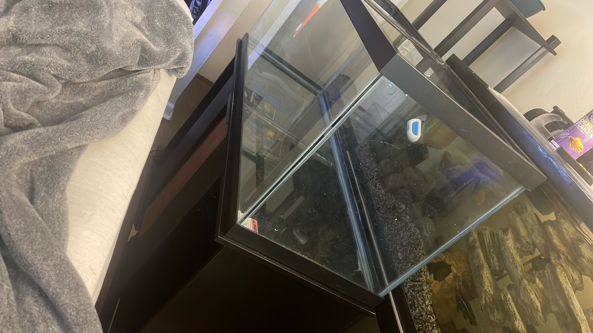 75 Gallon Fish Tank And Stand