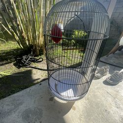 Bird Cages,  Large Birdcage with Rolling Stand for Parakeet Cockatiels Quaker Conure Lovebird Finch Canary Small Medium Parrot Cage Birdca