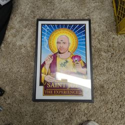 Joe Rogan Illustrated Art Print 