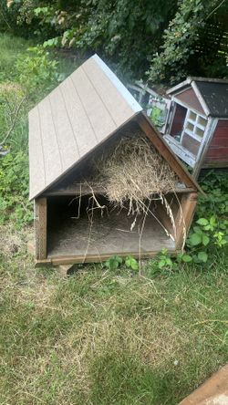 Dog House 