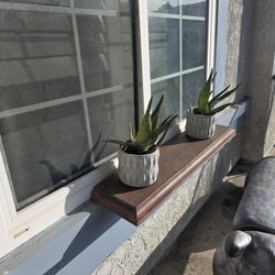 smalls alo plants with planters 