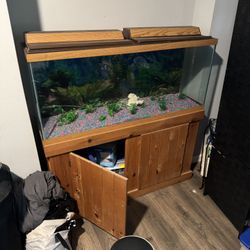 75 gallon tank with filter/Light hood $250