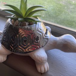 Turtle Plant Decoration