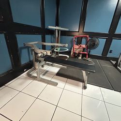 Chest Press 