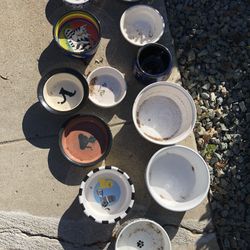 Cats 🐱 And Dogs Ceramic Bowls 