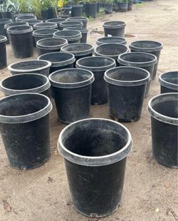 15 Gallons pots $5 each / Macetas de 15 galones $5