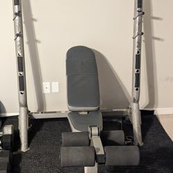 Century Adjustable Bench/Incline/Leg Extension/Hamstring Curl/Shoulder Press/Preacher Curl