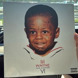 lil Wayne Vinyl Record 