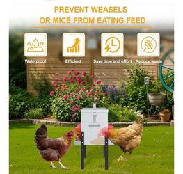 Chicken feeder