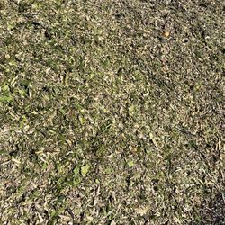 FREE WOOD CHIPS FREE