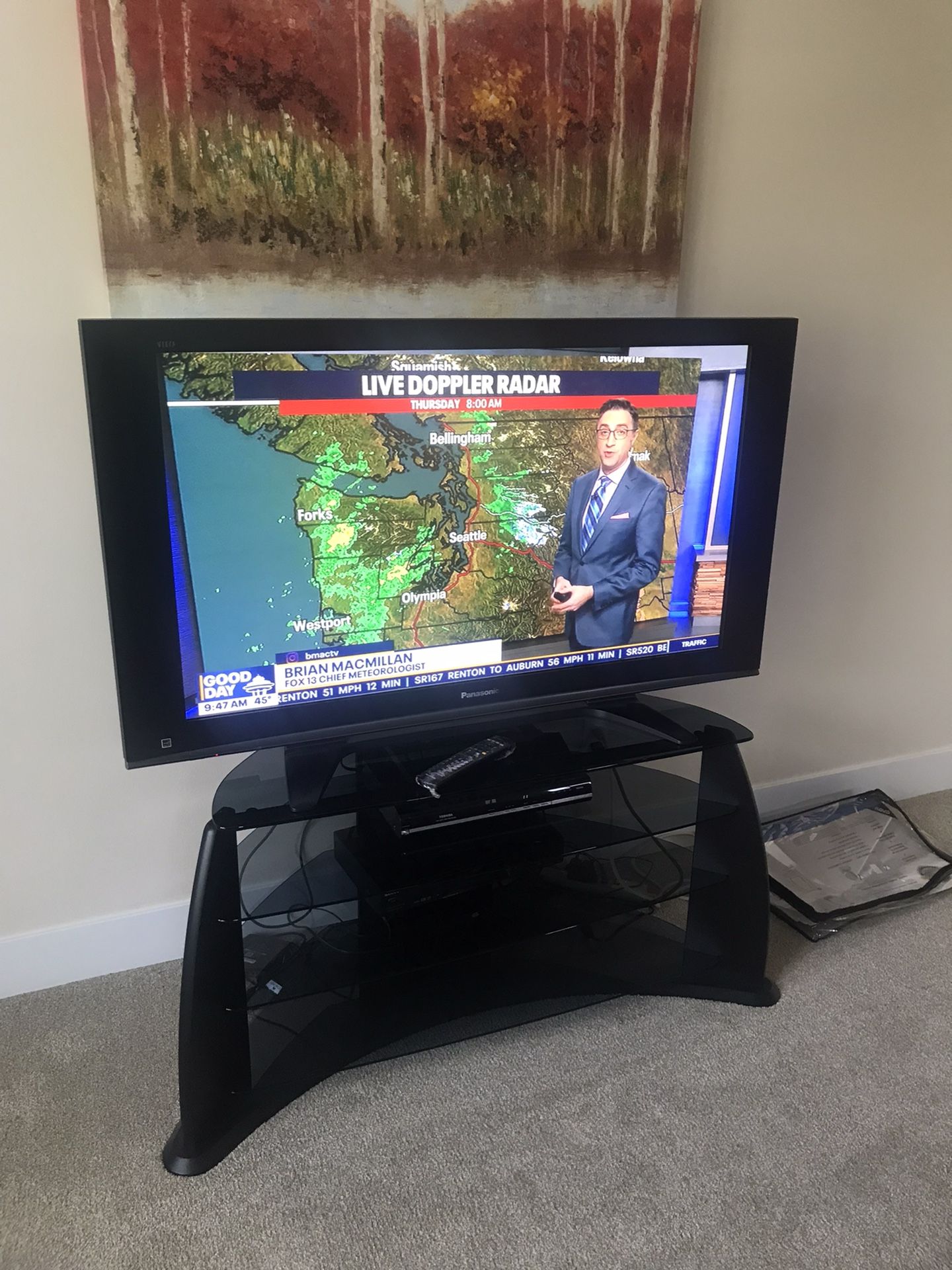 54” Panasonic TV - 760 Pixel