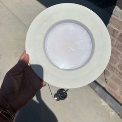 LED Lights