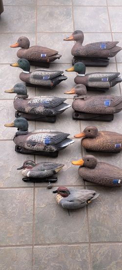Duck decoys