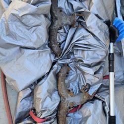 Chevy Small Block Ram Horn Headers 
Fits all small block Chevy motors 283, 350, 383, 400