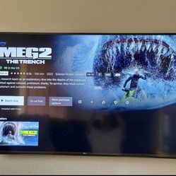 LG 65” Smart Tv 