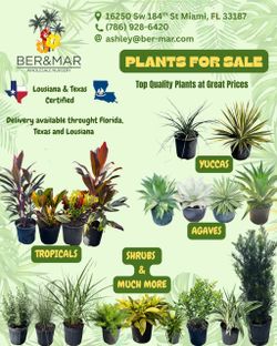 Plants for sale