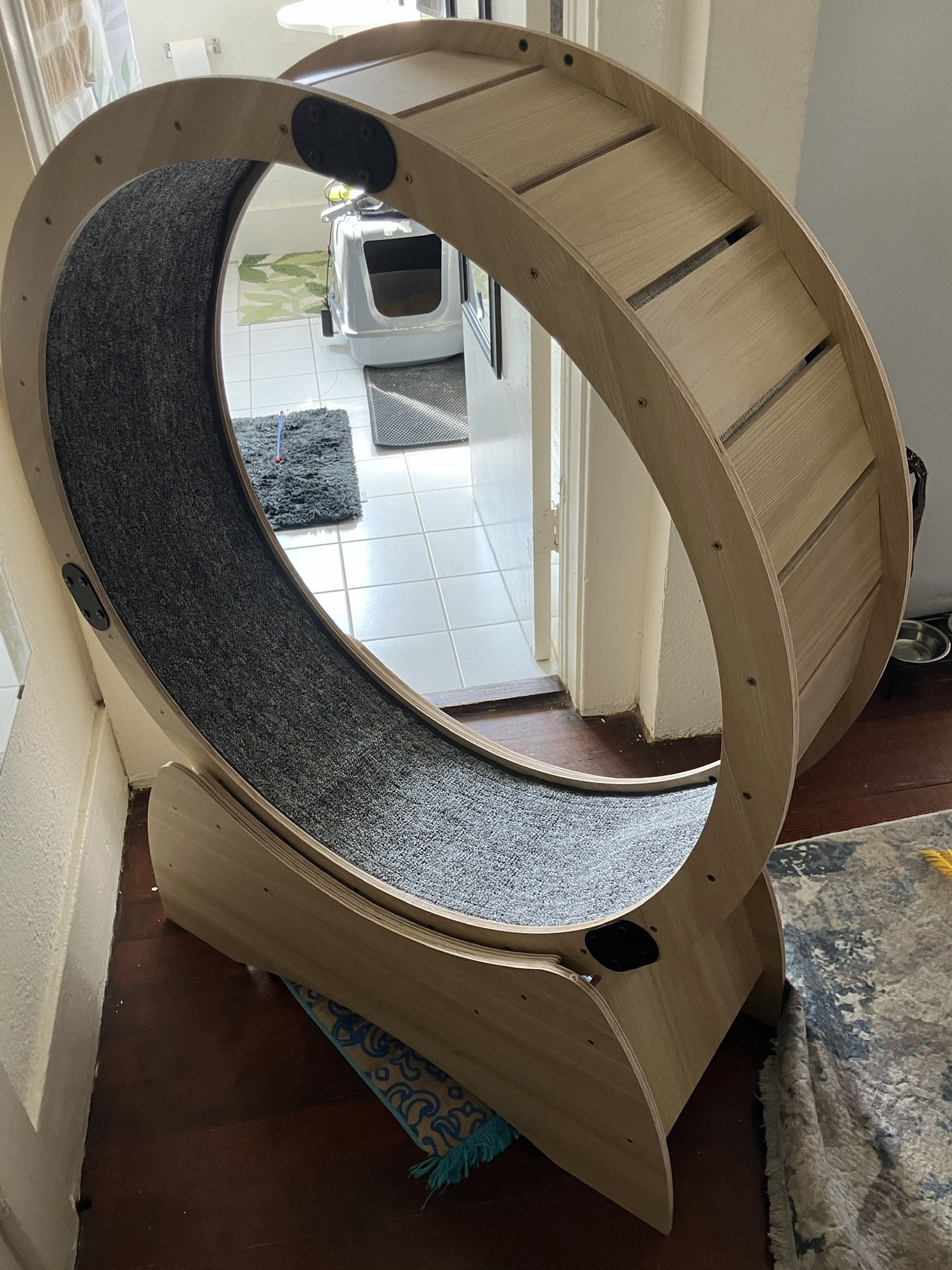 Brand New Assembled Cat Exercise Wheel