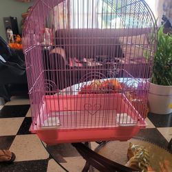 small bird cage