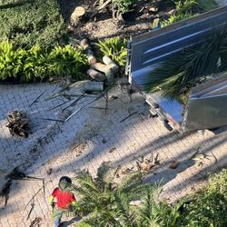  Trimming Trees 🌳 Trees 🌴 