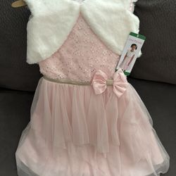 Little Girls Dress Pink