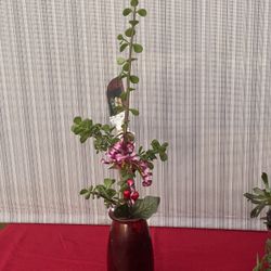 Give A Gift That Would Last And Grow!