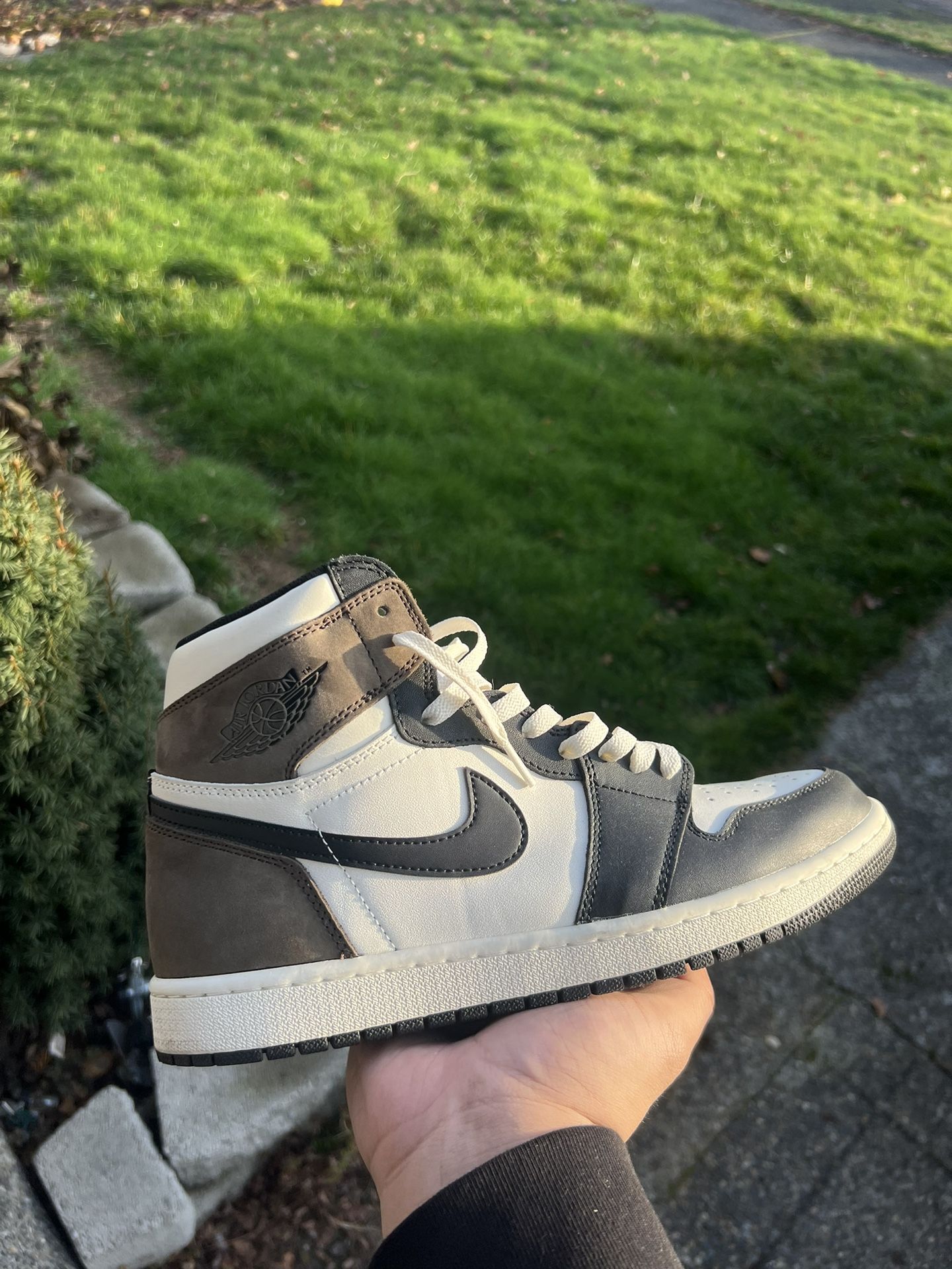 mocha 1s