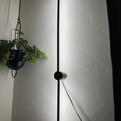 2 Wall Lights, Diferente Tones And Brightness 