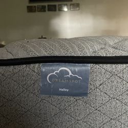 Queen Sized Mattress And Box Spring 