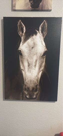 5 Black and White Horse Canvas Wall Art