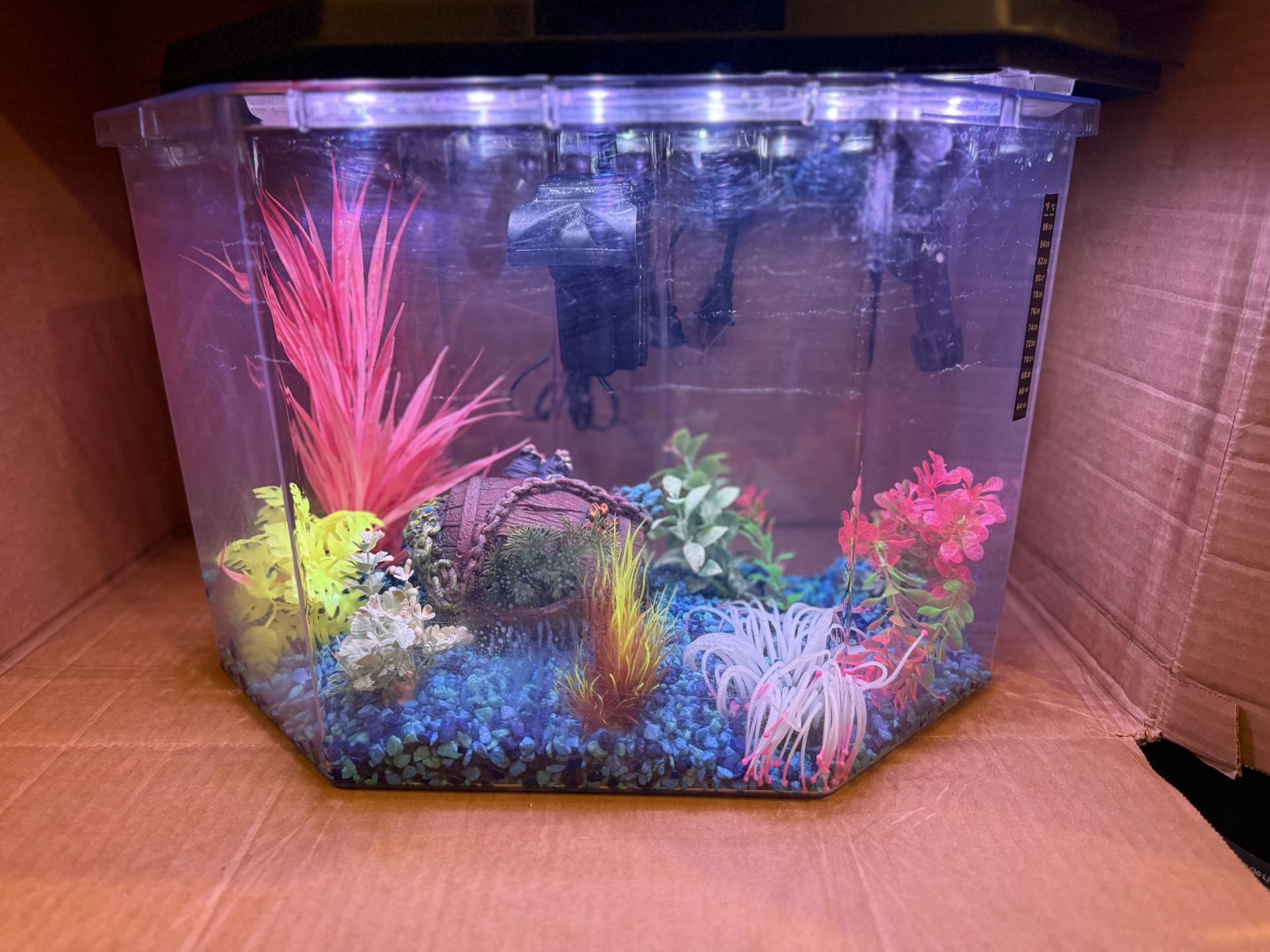 Fish tank With many accessories