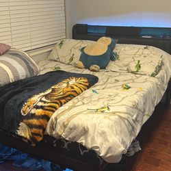 Queen Size Memory Foam Bed 