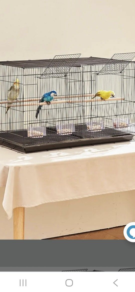 Birds Cage