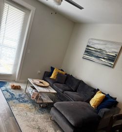 Microfiber Sectional