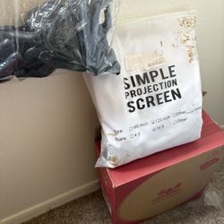 Digital Projector 