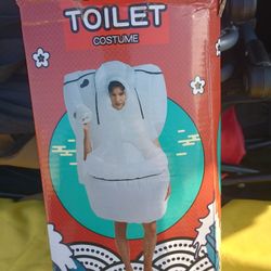 Toilet Costume 