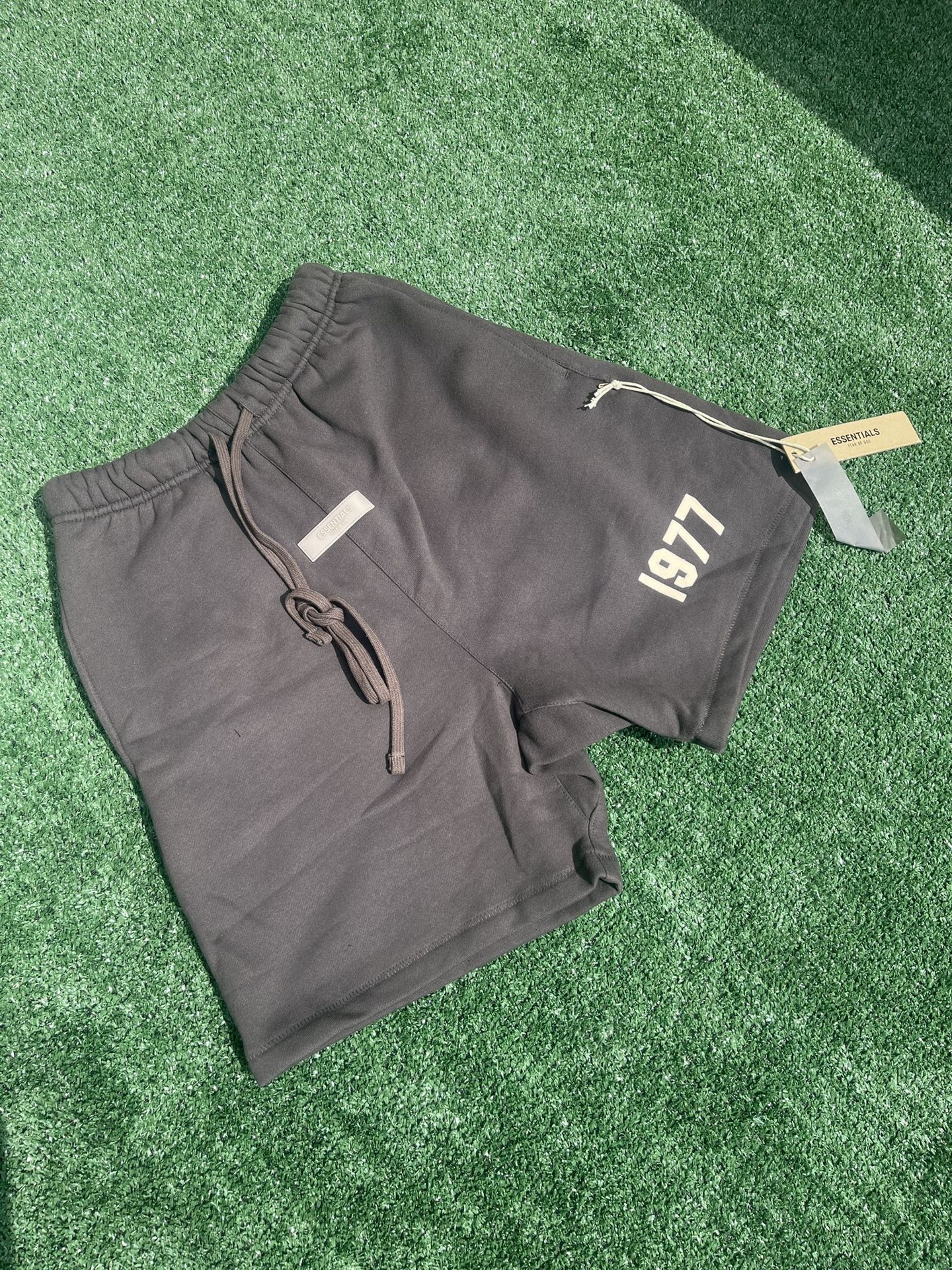 1977 Essentials Shorts