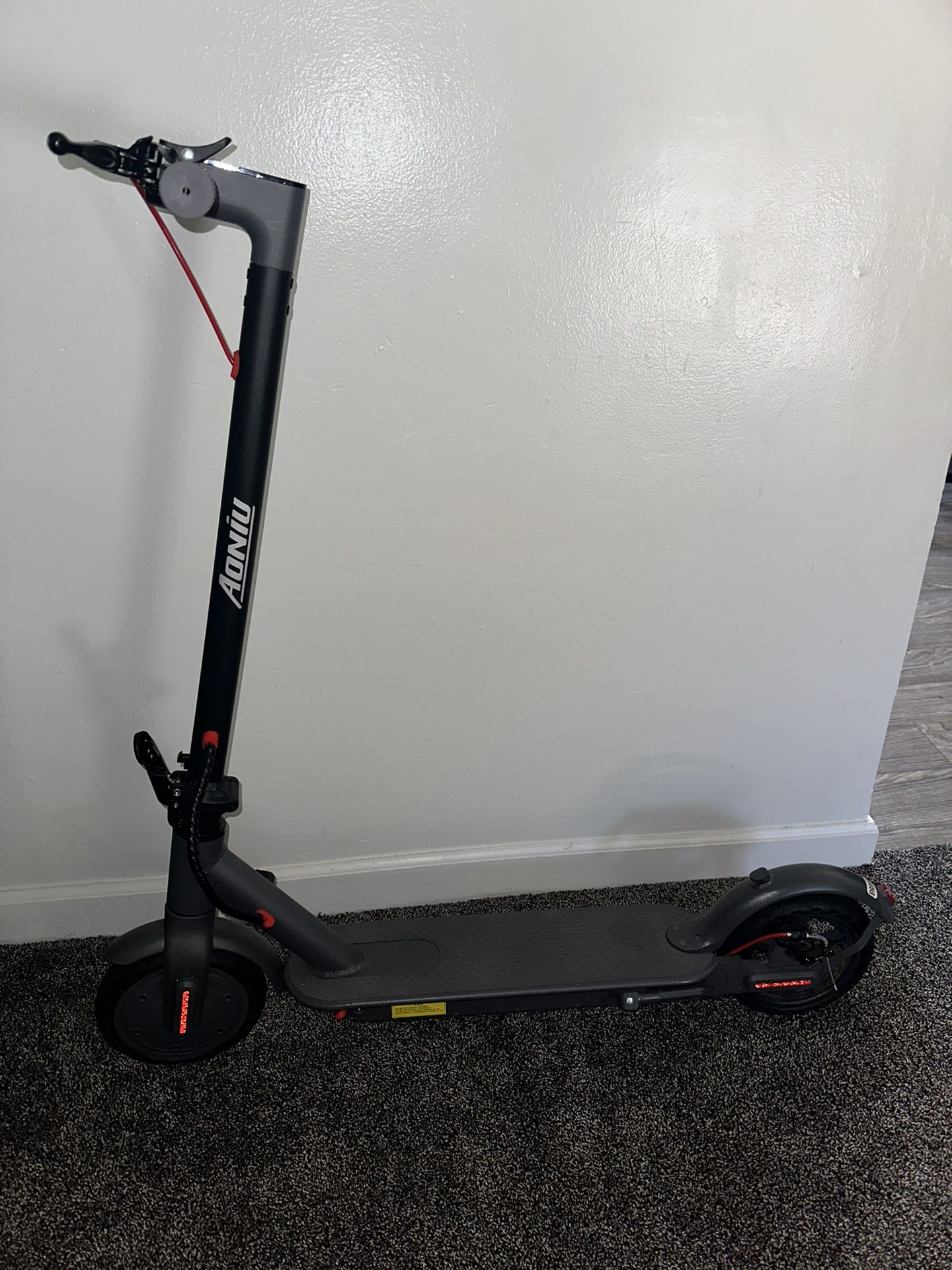 Electric Scooter 