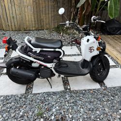 2013 Honda Ruckus