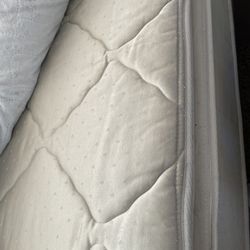 Full Size Mattress 