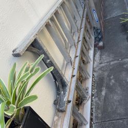 WERNER EXTENSION LADDER 