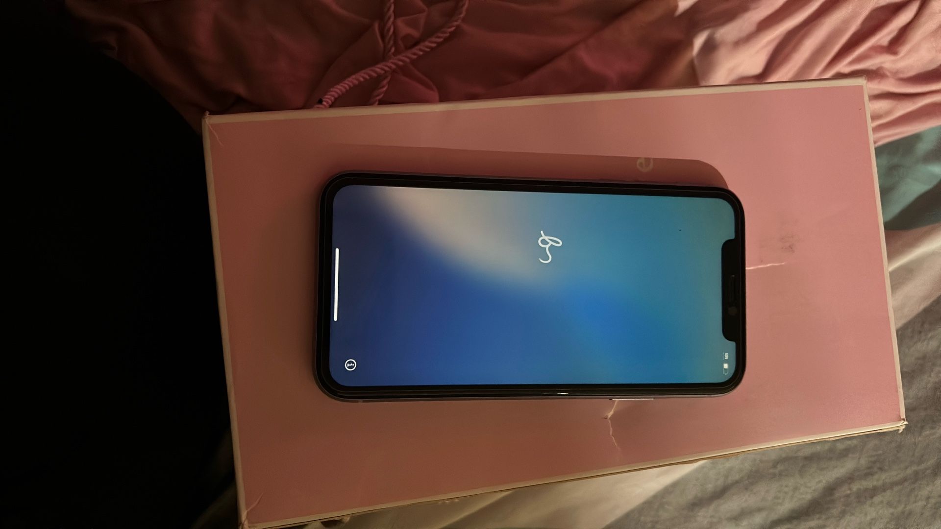 Unlocked Purple iPhone 11 128gb Never Used