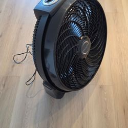 20" adjustable fan