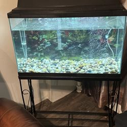 30 Gallon Fish tank With Full Setup Freashwater 18/12/30